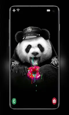 Cute Panda Wallpaper android App screenshot 2